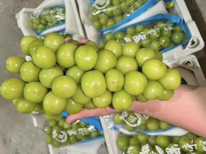 1723193207337.png 1723193207337.png