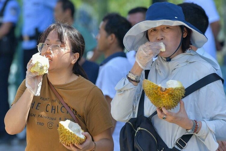 ai-da-to-chuc-hoi-nghi-nganh-sau-rieng-noi-dia-dau-tien-thu-hut-dong-dao-nguoi-dan-den-nem-thu...jpg