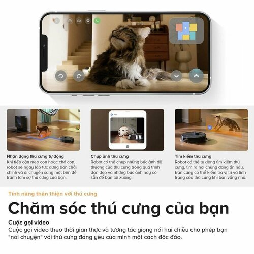 pet_e0e29c8393774fa7b0de6e621ac4f6cb_master_webp_75.jpg