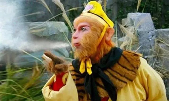 1725267167684.png 1725267167684.png