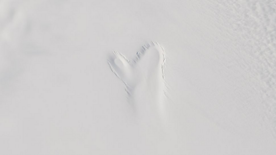 1726801365280.png 1726801365280.png