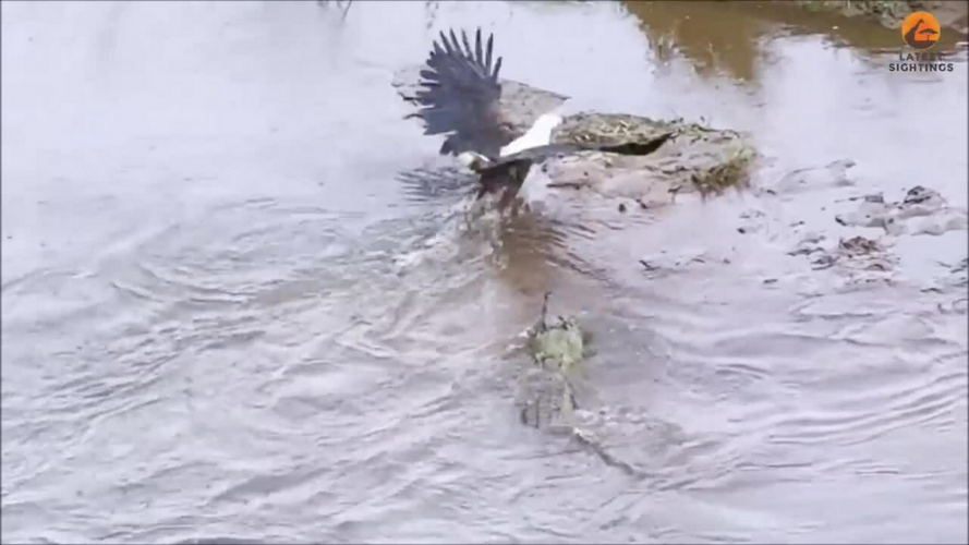 1727061949295.png 1727061949295.png