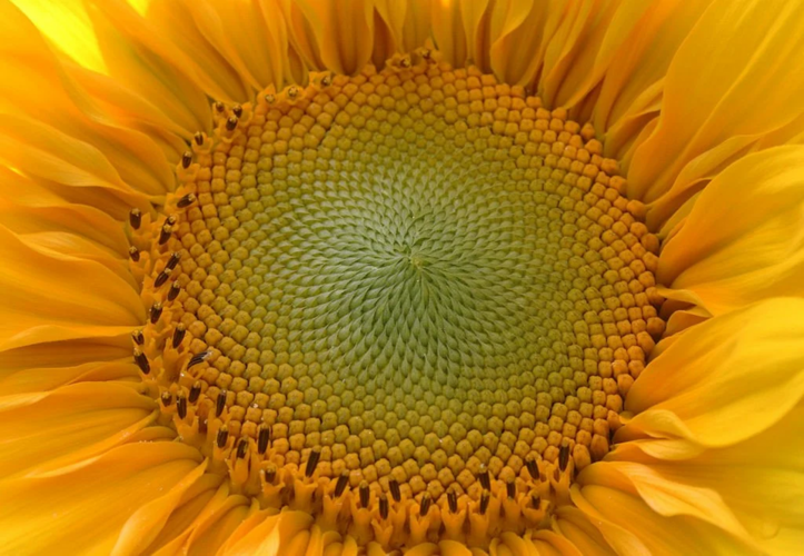 1727185341399.png