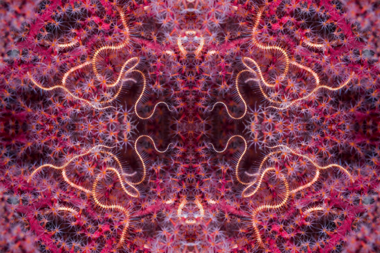 1716259908457.png