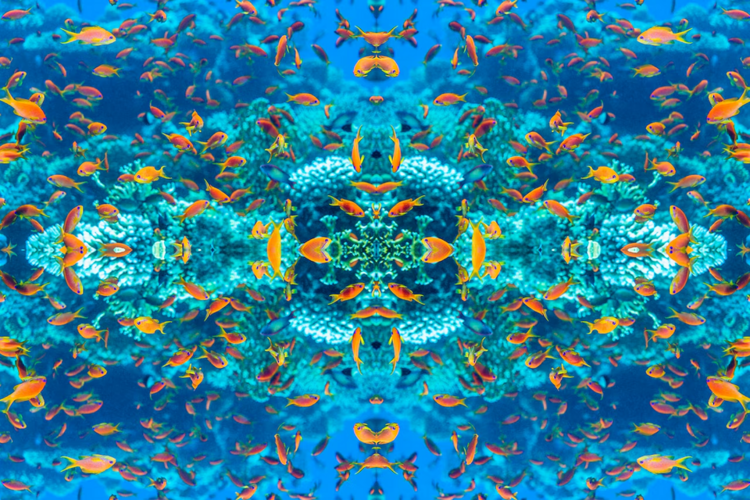 1716260155407.png