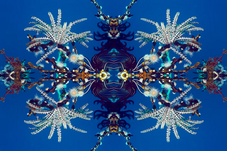 1716260509611.png