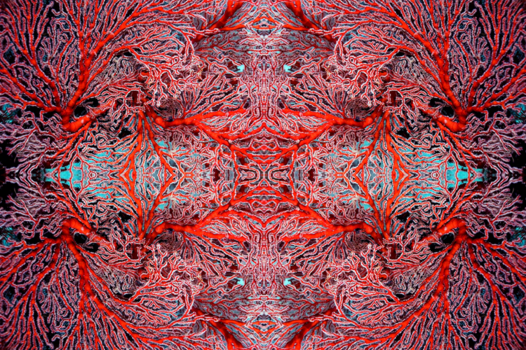 1716260706473.png