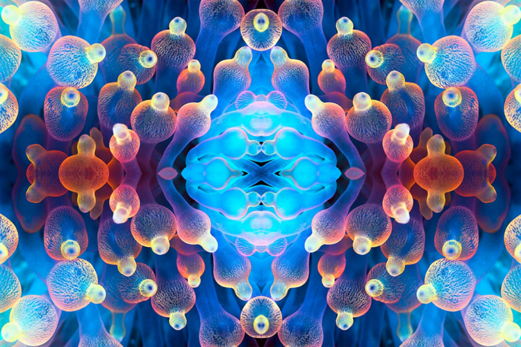 1716260953737.png