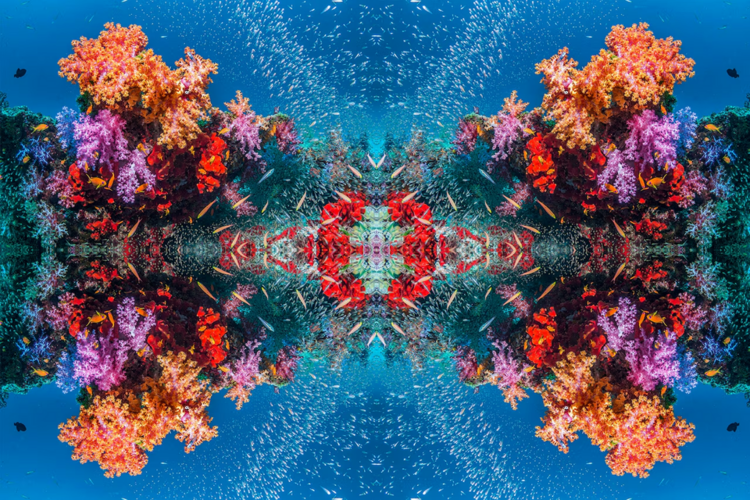 1716261159393.png