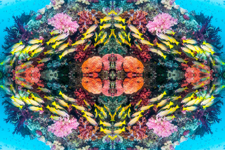 1716261342829.png