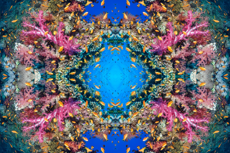 1716261421295.png