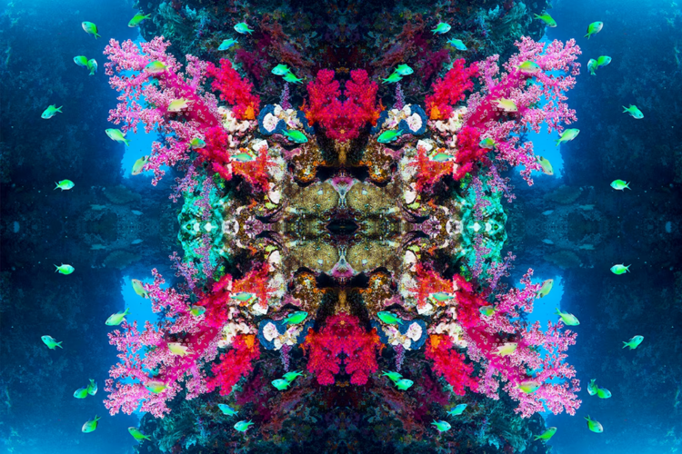 1716261506068.png