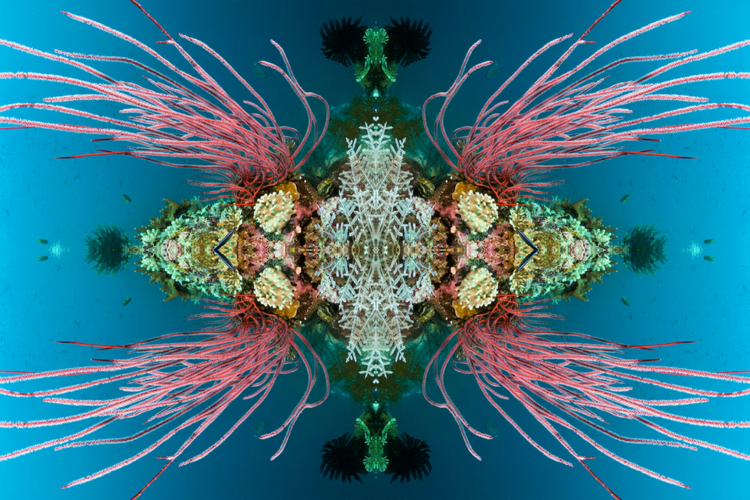 1716261914333.png
