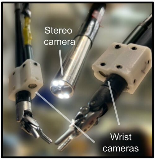 wrist-cameras-attached-to-the-arms-of-the-robot-surgical-system-capture-footage-to-help-train-...jpg wrist-cameras-attached-to-the-arms-of-the-robot-surgical-system-capture-footage-to-help-train-...jpg