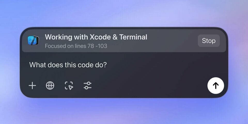 chatgpt-xcode-17316604765851333651830-1731721439416-1731721439488274344312.jpeg_75.jpg