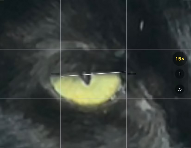 1731827513040.png 1731827513040.png