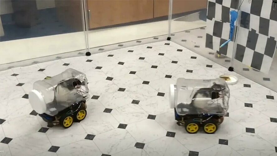 rat-cars-l-17315525044351466192235-1731566429491-17315664296141108397206_jpg_75.jpg rat-cars-l-17315525044351466192235-1731566429491-17315664296141108397206_jpg_75.jpg