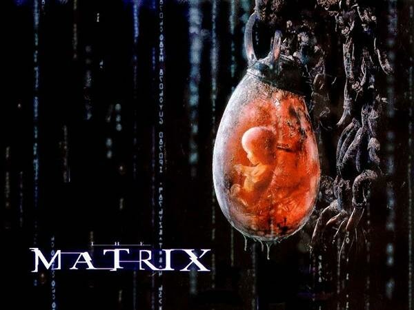 matrix-podgrown-155106735932064906905_jpg_75.jpg