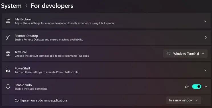 for_developers_settings1_png_75.jpg