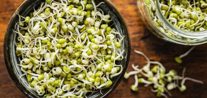 sprouts_jpg_75.jpg