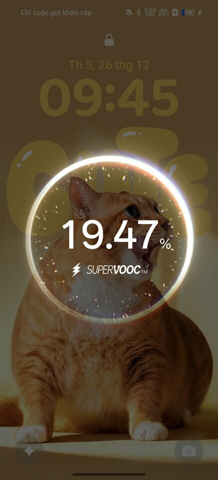 Screenshot_2024-12-26-09-45-23-54.jpg