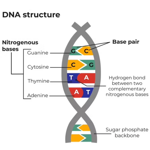 1736777809863.png
