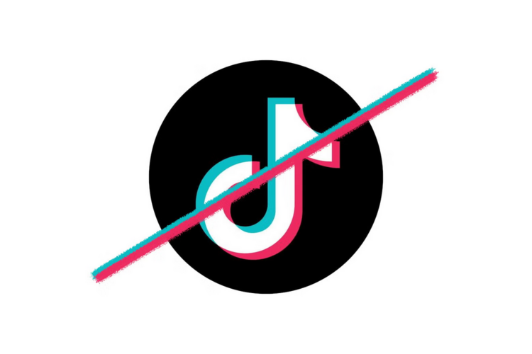 1736999503828.png 1736999503828.png
