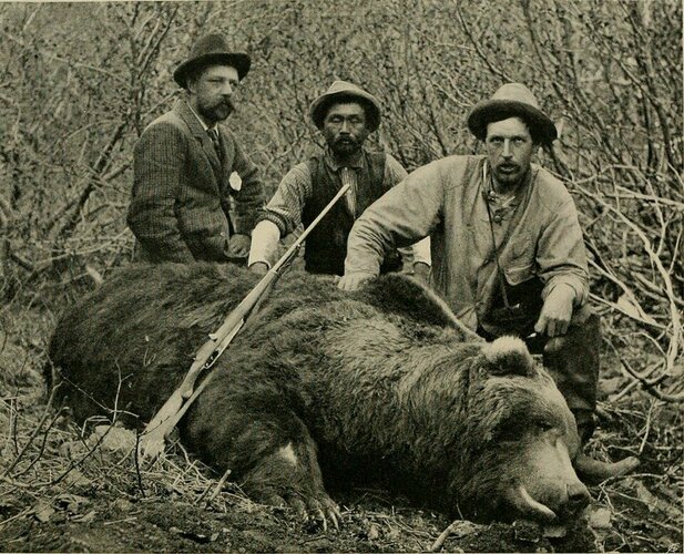 1280px-biggameshootinginalaska28190429281456394126829-1738925103243-17389251035492040746698-17...jpg 1280px-biggameshootinginalaska28190429281456394126829-1738925103243-17389251035492040746698-17...jpg