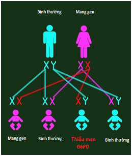 1739585666842.png