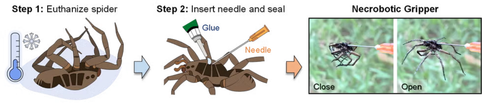 1739854369405.png 1739854369405.png