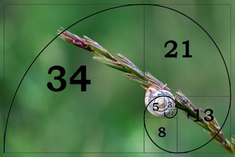 1740367580722.png