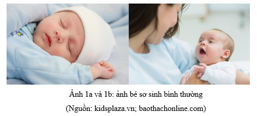1740385979090.png