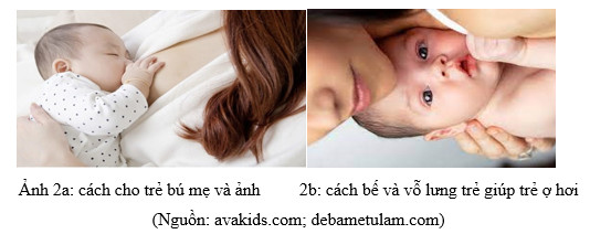 1740385995001.png