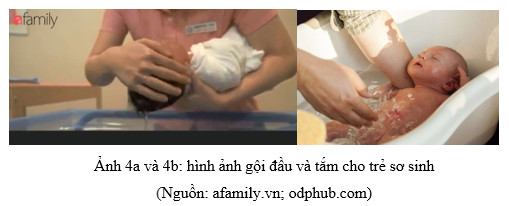 1740386022497.png