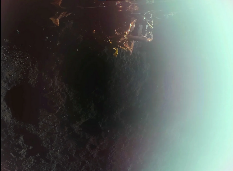 1740988459224.png 1740988459224.png