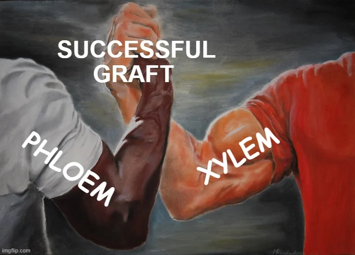 1741243291039.png 1741243291039.png
