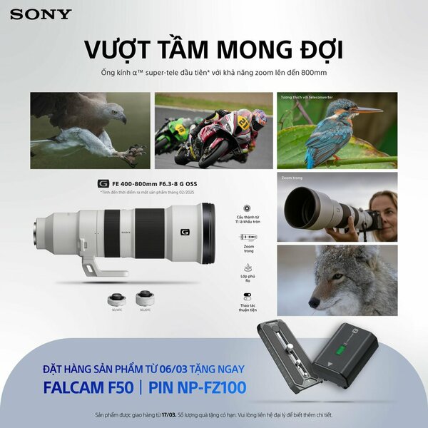 SEL400800G_1_ko lo go.jpg
