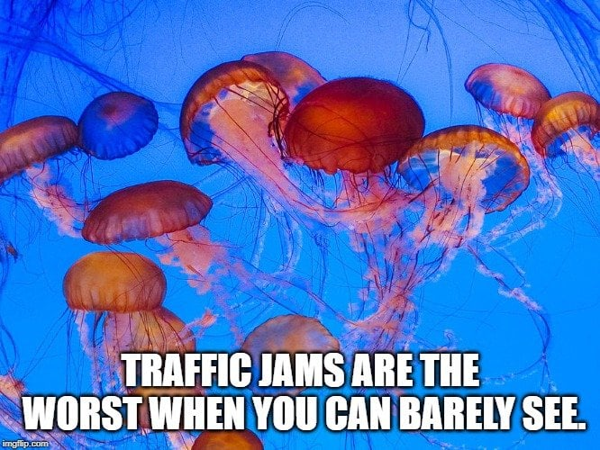 1741331521326.png