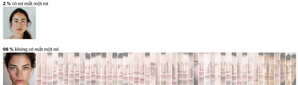 1717233307840.png
