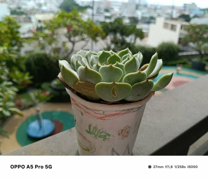 IMG20250317135411_ko lo go.jpg