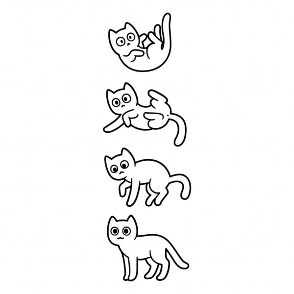 1742283189056.png 1742283189056.png