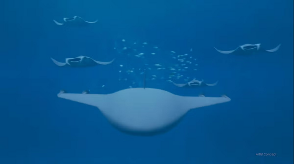 1742443835580.png 1742443835580.png
