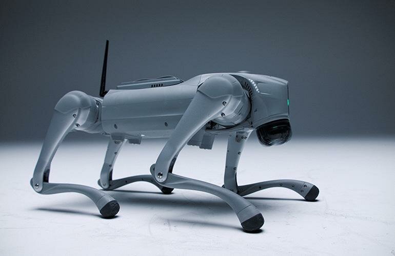 intuicell-featured_jpg_75.jpg