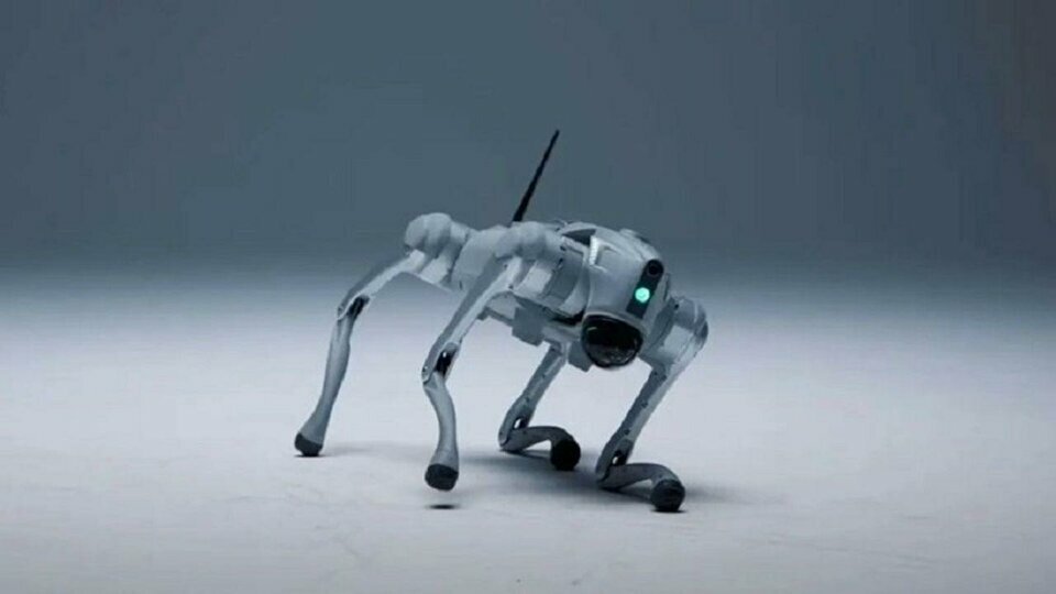 luna-robot-kopek_jpg_75.jpg