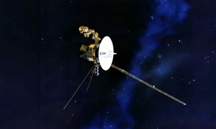 VNE-Probe-4042-1707968599_jpg_75.jpg