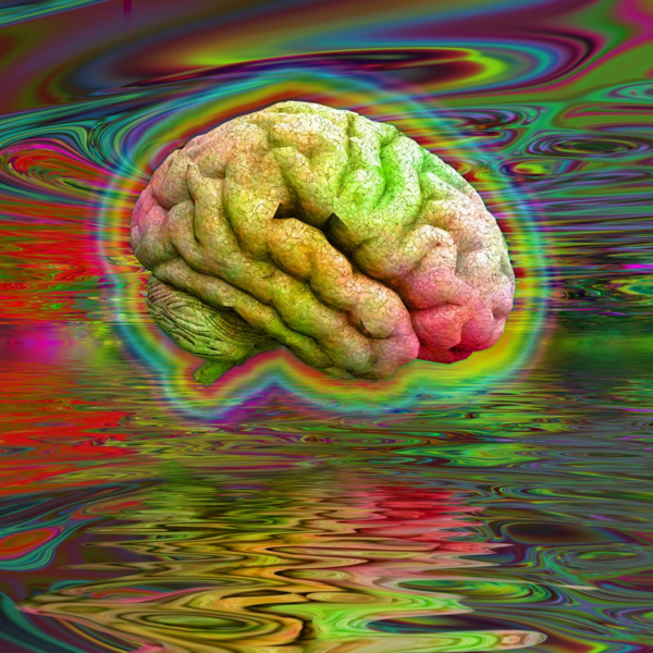 1742871722946.png 1742871722946.png