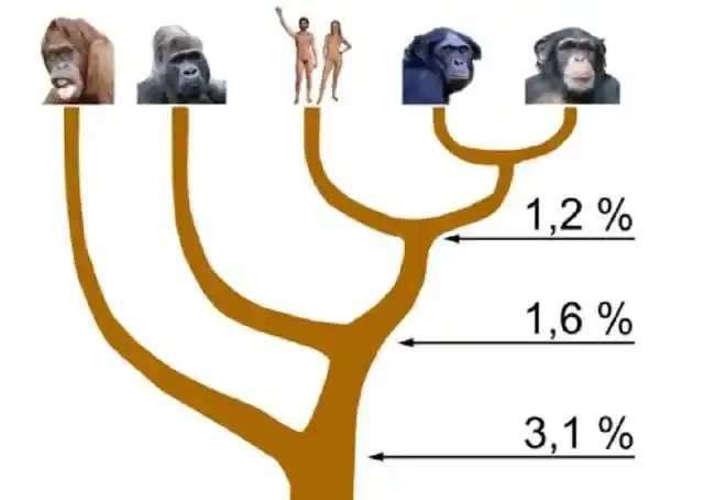 1743402679429.png 1743402679429.png