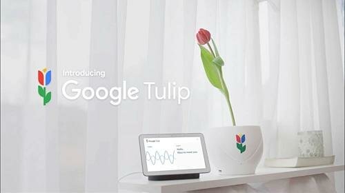 google-tulip-1554089218-1254-1554093294_png_75.jpg