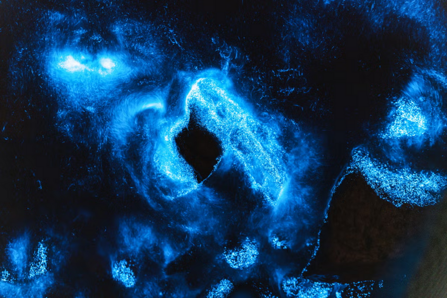1743742020527.png 1743742020527.png