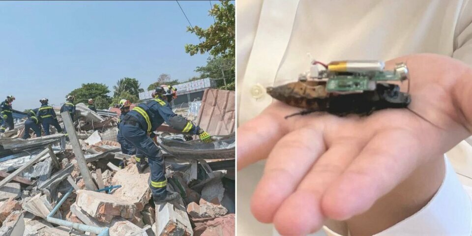 cyborg-cockroaches_jpg_75.jpg cyborg-cockroaches_jpg_75.jpg